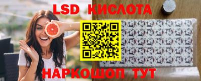 гидропоника Берёзовский