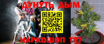 гидропоника Берёзовский